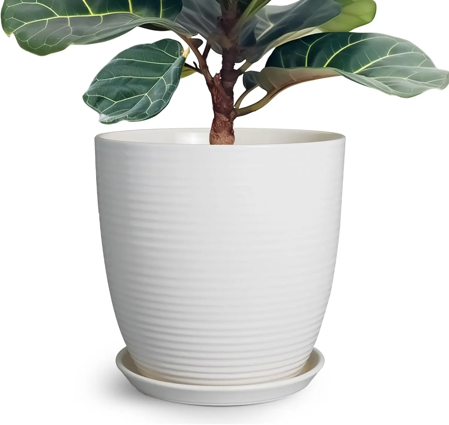 12 Inch Ceramic Planter with Drainage Hole and Saucer, Large Round Pot for Indoor Outdoor Plants
12 Inch Ceramic Planter with Drainage Hole and Saucer, Large Round Pot for Indoor Outdoor Plants