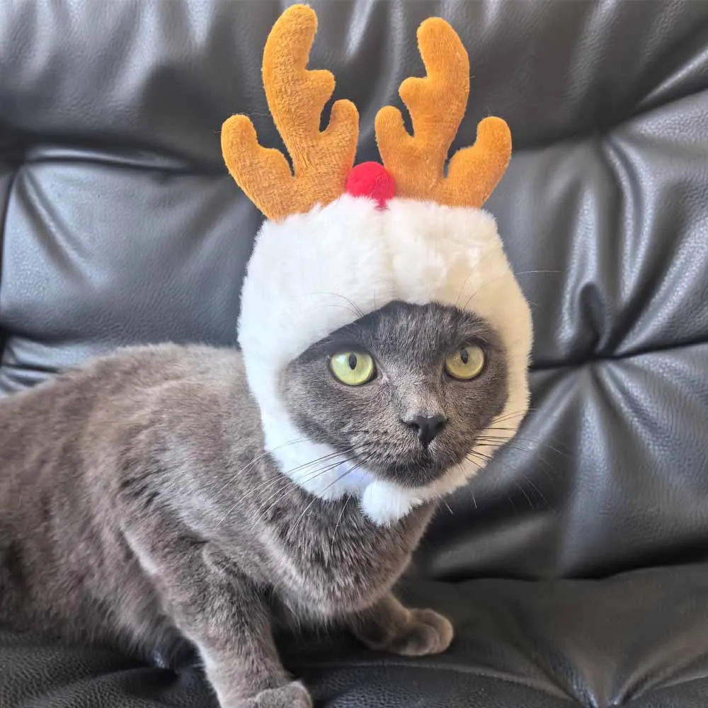 New Arrival Cat Pet Christmas Costume Santa Hats for Cats Small Dogs Perfect for Holiday Parties
New Arrival Cat Pet Christmas Costume Santa Hats for Cats Small Dogs Perfect for Holiday Parties