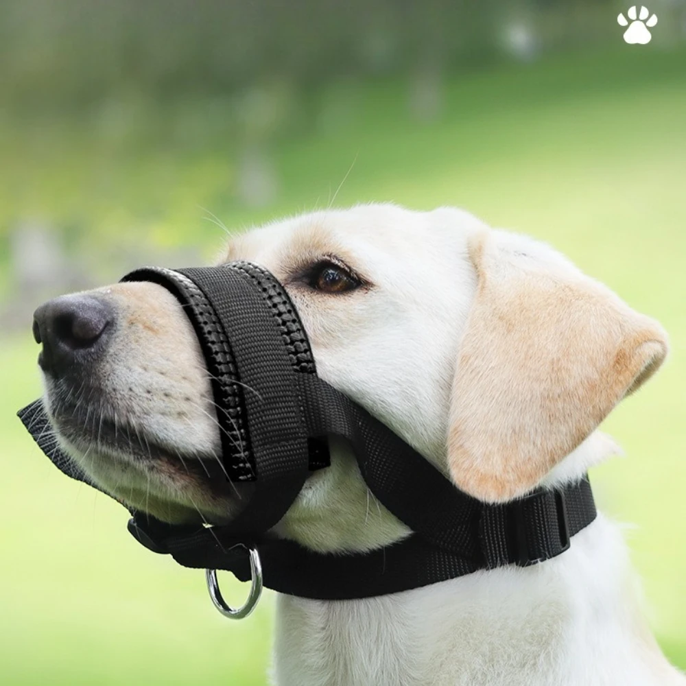 Breathable Mesh Adjustable Dog Muzzle For All Sizes, Anti-Bite & Bark Control With Secure Fit Design
Breathable Mesh Adjustable Dog Muzzle For All Sizes, Anti-Bite & Bark Control With Secure Fit Design