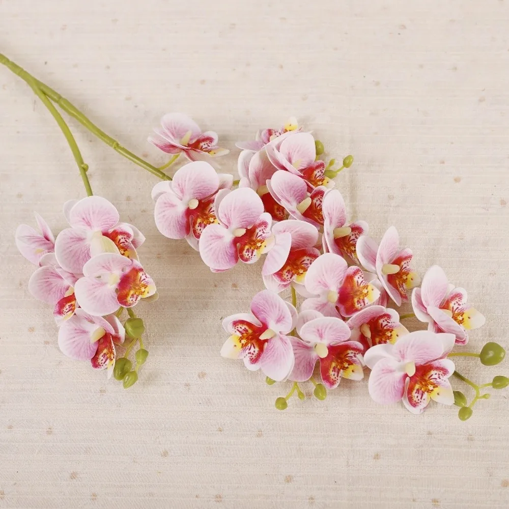 21 Heads Artificial Phalaenopsis Branches Real Touch 2 Fork Fake Mini Flowers Realistic Handmade Simulation Plant Balcony Decor
21 Heads Artificial Phalaenopsis Branches Real Touch 2 Fork Fake Mini Flowers Realistic Handmade Simulation Plant Balcony Decor
