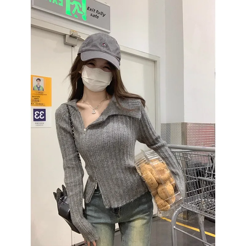 Вязаный кардиган с двойной молнией, женский, осенне-зимний, приталенный, с длинными рукавами, универсальный топ
Вязаный кардиган с двойной молнией, женский, осенне-зимний, приталенный, с длинными рукавами, универсальный топ