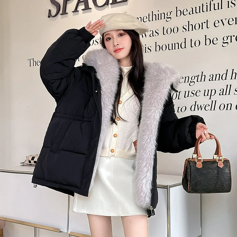 Корейская версия: Элитные утепленные пальто 2026 года, новая зимняя коллекция, цвета конфет, с капюшоном, на молнии, пуховик из хлопка для женщин
Корейская версия: Элитные утепленные пальто 2026 года, новая зимняя коллекция, цвета конфет, с капюшоном, на молнии, пуховик из хлопка для женщин