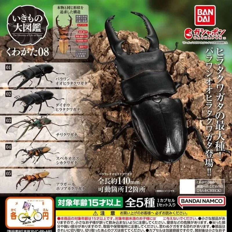 In Stock Bandai Insect Biology Collection Gashapon Beetle Vol.08 Rhino Beetle Vol.07 Dynastes Hercules Toad Tree Frog Ornament
In Stock Bandai Insect Biology Collection Gashapon Beetle Vol.08 Rhino Beetle Vol.07 Dynastes Hercules Toad Tree Frog Ornament