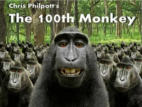Hundredth Monkey by Chris Philpott (DVD+Gimmick) - Волшебные трюки Ментализм Магия Реквизит Иллюзии Крупный план Сценический фокусник Крупным планом
Hundredth Monkey by Chris Philpott (DVD+Gimmick) - Волшебные трюки Ментализм Магия Реквизит Иллюзии Крупный план Сценический фокусник Крупным планом