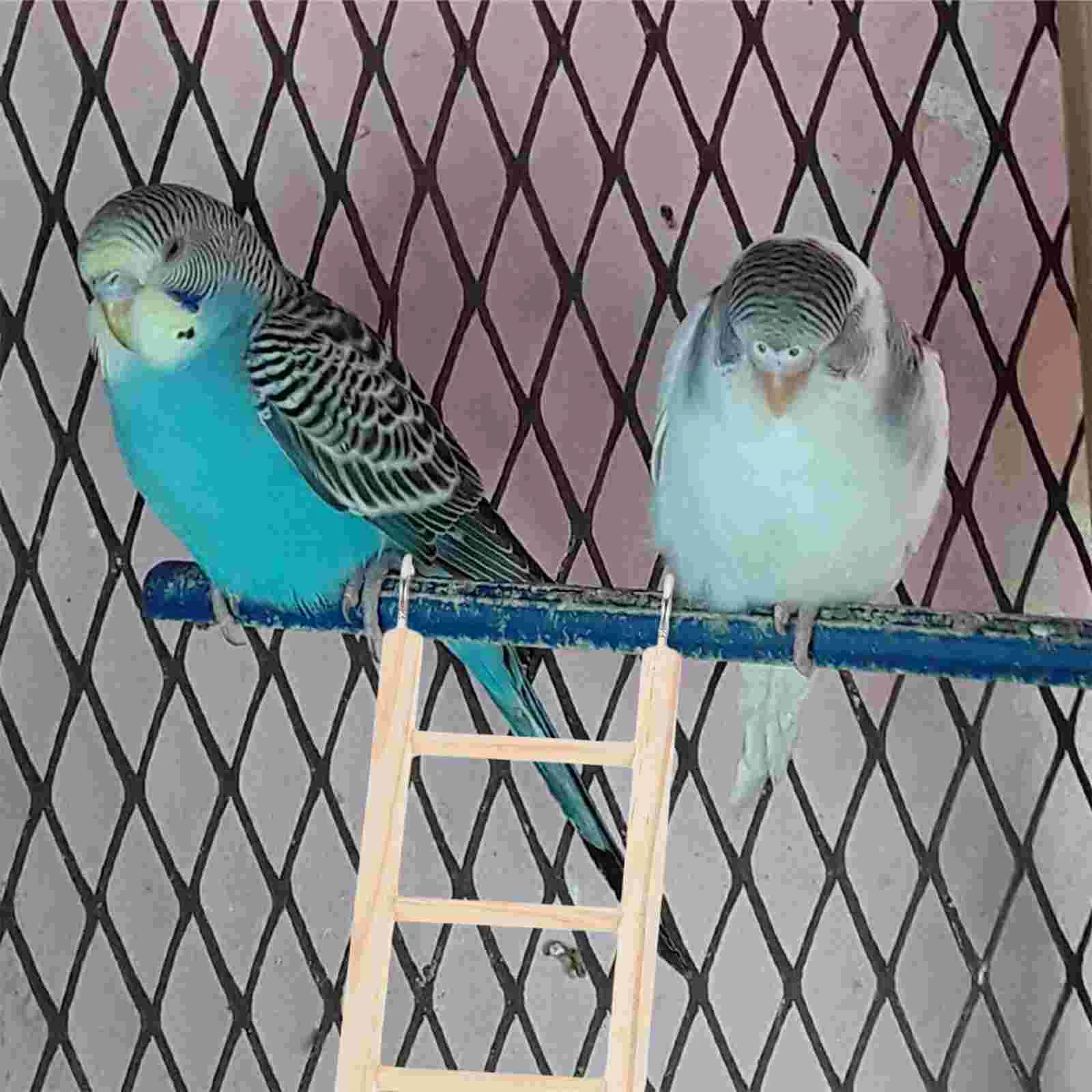 Hamster Climbing Ladder Bird Cage Accessories Strainer Cockatiel Toys for Pigeon Supplies
Hamster Climbing Ladder Bird Cage Accessories Strainer Cockatiel Toys for Pigeon Supplies