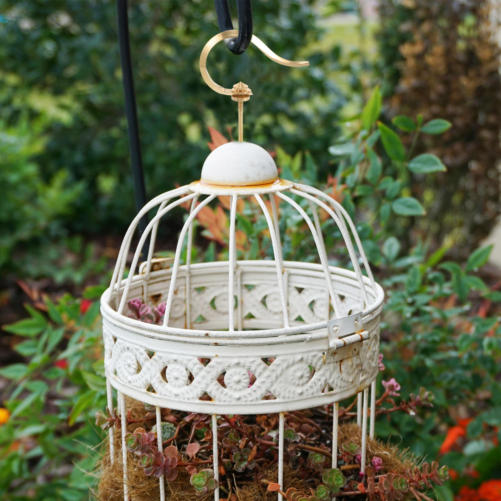 Brass Bird Large Size Decorative Hanger Durable Multipurpose Pet Cage Accessories Bird Cage Hook Decorative Hook Hooks
Brass Bird Large Size Decorative Hanger Durable Multipurpose Pet Cage Accessories Bird Cage Hook Decorative Hook Hooks