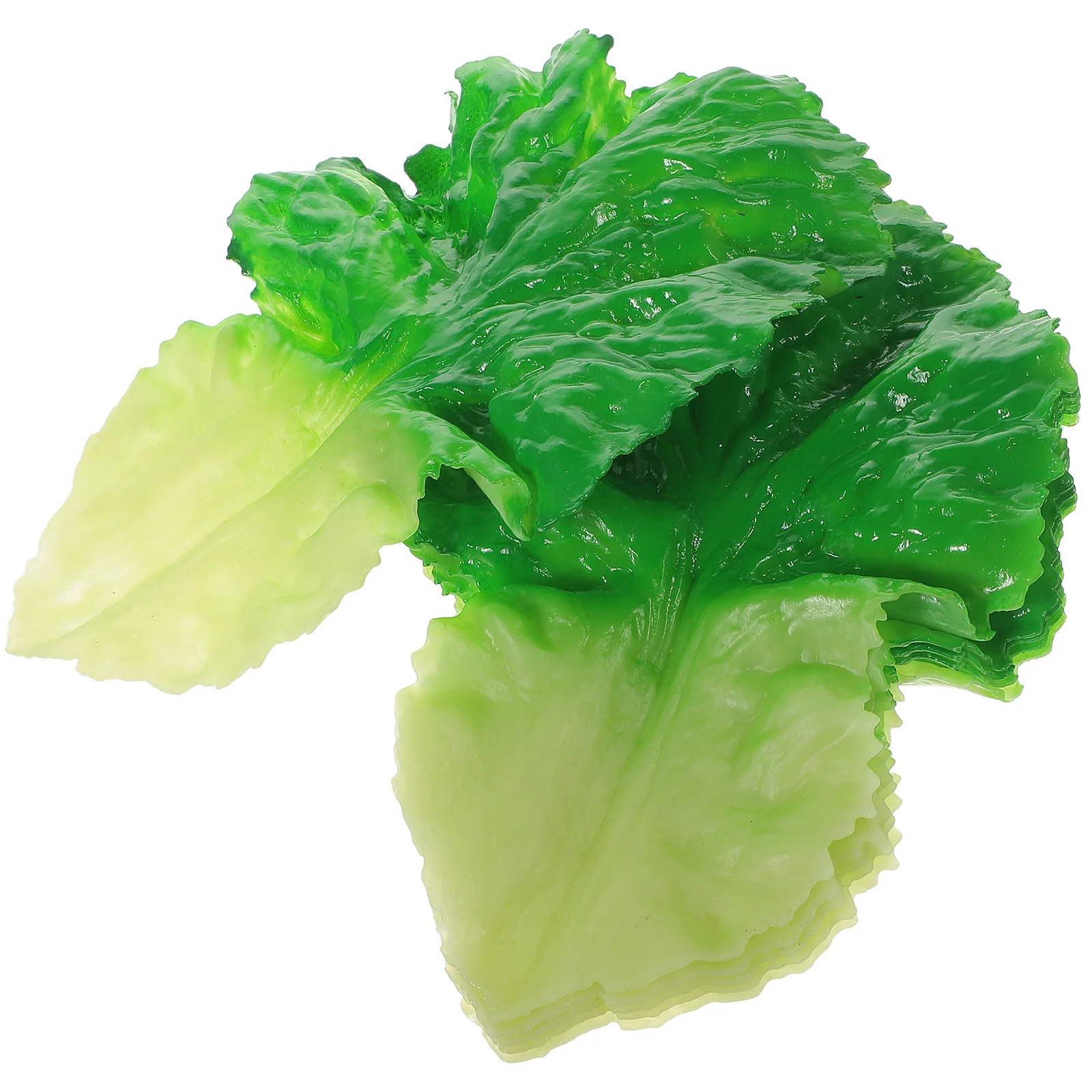 6pcs Artificial Lettuce Leaves Lifelike Decoration Props For Kitchen Restaurant Banquet Photo Display Pvc Faux Lettuce Leaf
6pcs Artificial Lettuce Leaves Lifelike Decoration Props For Kitchen Restaurant Banquet Photo Display Pvc Faux Lettuce Leaf