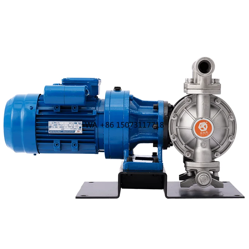 DBY3S-15P Electric High-Pressure Pump Stainless Steel 304 Diaphragm Pump for Industry Double Pump
DBY3S-15P Electric High-Pressure Pump Stainless Steel 304 Diaphragm Pump for Industry Double Pump