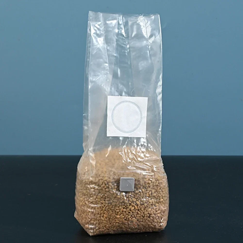 Set of 10 Mushroom Cultivation Bags Designed for Mycelial Growth and Temperature Resistance in Any Environment
Set of 10 Mushroom Cultivation Bags Designed for Mycelial Growth and Temperature Resistance in Any Environment