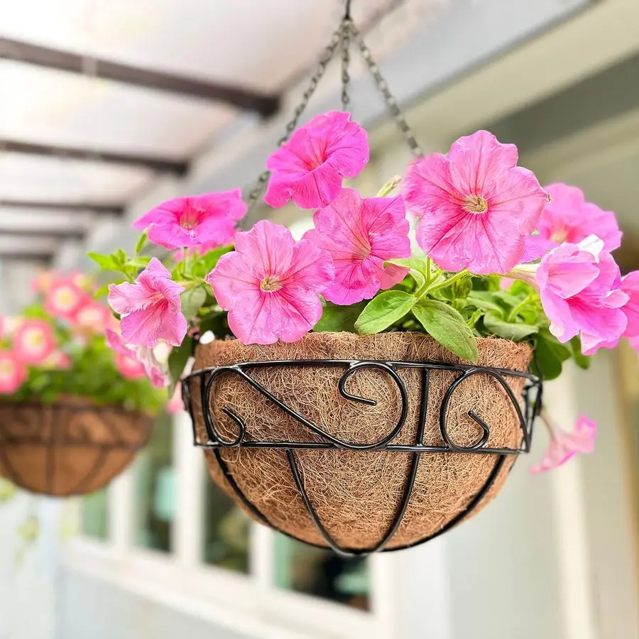 Подвесные кашпо для уличных растений, 14 дюймов, 2 штуки, черные подвесные корзины с кокосовым вкладышем, металлические проволочные корзины-горшки для цветов с ручкой
Подвесные кашпо для уличных растений, 14 дюймов, 2 штуки, черные подвесные корзины с кокосовым вкладышем, металлические проволочные корзины-горшки для цветов с ручкой