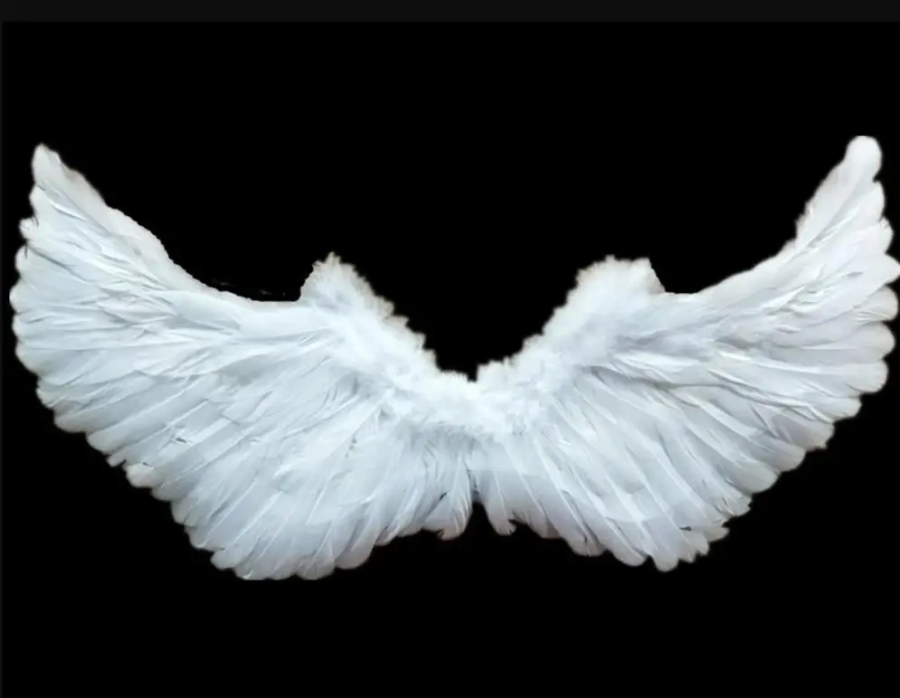 10pcs Angel Wing Feather Fairy Wingsare Swallow Design Halloween Christmas Masquerade Wedding Carnival Cos Costumes Props
10pcs Angel Wing Feather Fairy Wingsare Swallow Design Halloween Christmas Masquerade Wedding Carnival Cos Costumes Props