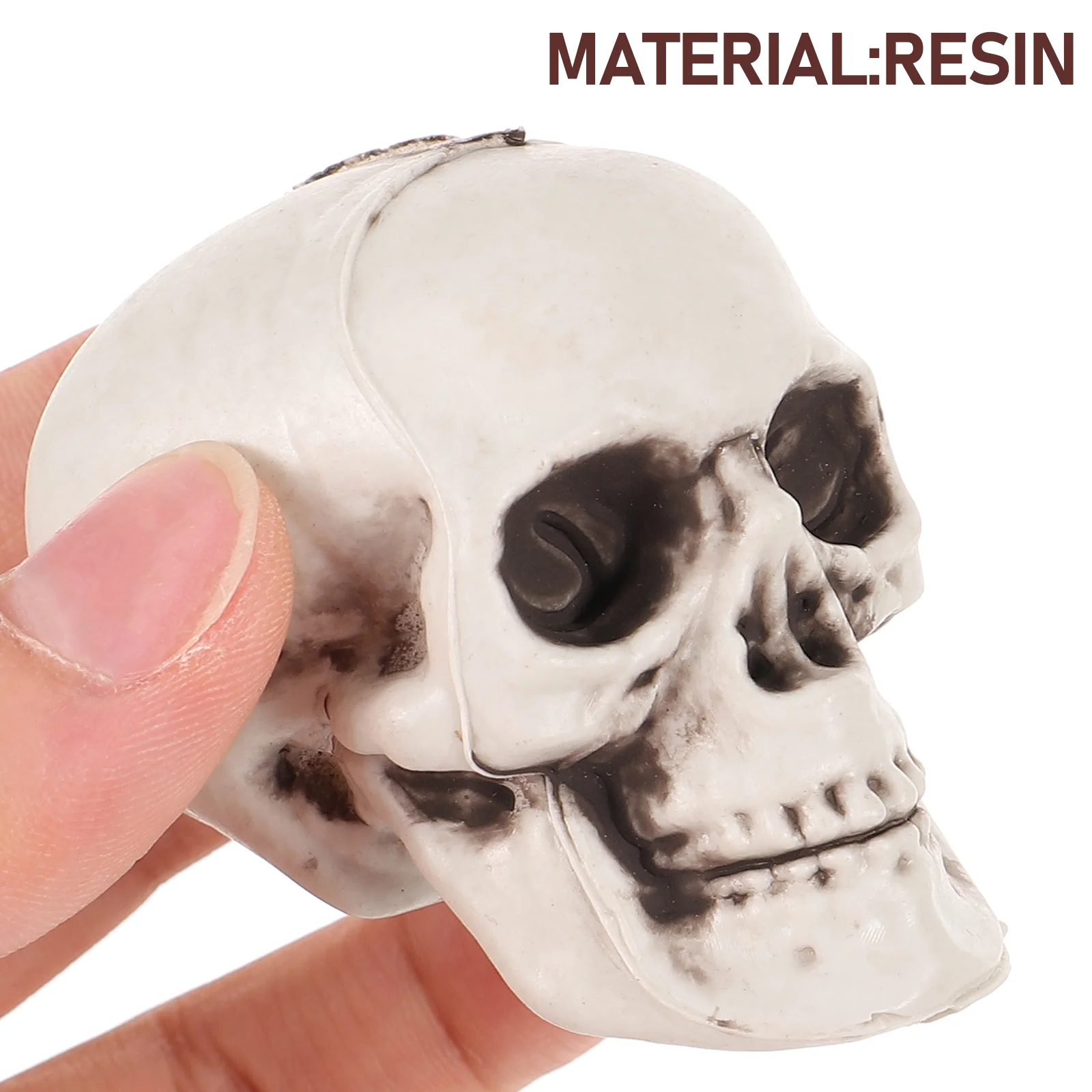 13pcs Skull Shaped Fish Cave Aquarium Decor Resin nament Fish Tank Bottom Props Shrimp Play 9cm 10cm Safe Pet Supplies
13pcs Skull Shaped Fish Cave Aquarium Decor Resin nament Fish Tank Bottom Props Shrimp Play 9cm 10cm Safe Pet Supplies