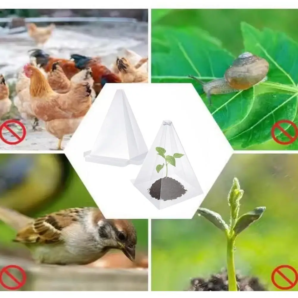 Garden Cloches for Plants Reusable Ventilated Plant Cloches with Metal Stakes Mini Greenhouse for Seedlings Protector for Plants
Garden Cloches for Plants Reusable Ventilated Plant Cloches with Metal Stakes Mini Greenhouse for Seedlings Protector for Plants
