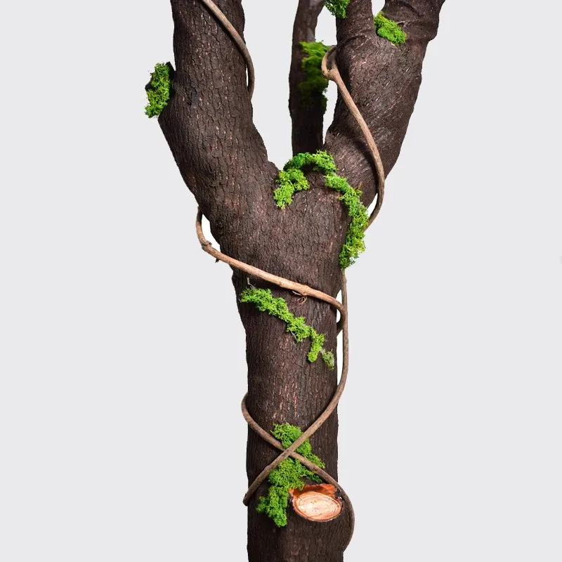 Artificial Silicone Tree Bark for Pillars Light Poles Wrap Garden Simulation Plant Cover DIY Wall Pipe Column Block Wall Decor
Artificial Silicone Tree Bark for Pillars Light Poles Wrap Garden Simulation Plant Cover DIY Wall Pipe Column Block Wall Decor
