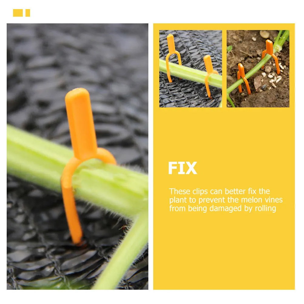 200Pcs Plastic Gardening Vine Fixing Clips Lightweight Durable Plant Fasteners for Vine Support Strawberry Watermelon Plant Care
200Pcs Plastic Gardening Vine Fixing Clips Lightweight Durable Plant Fasteners for Vine Support Strawberry Watermelon Plant Care