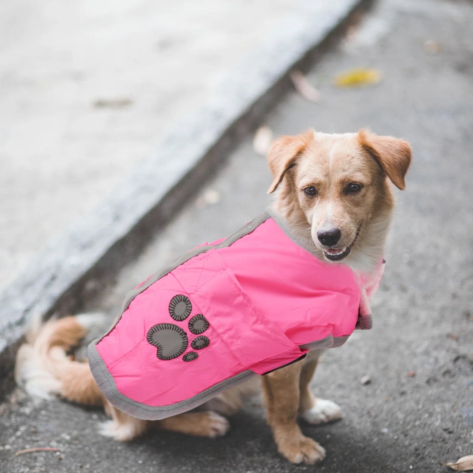 Reflective Dog Coat Reversible Waterproof Winter Jacket For Small Medium Large Dogs Fleece Lined Pet Warm Clothing Outdoor
Reflective Dog Coat Reversible Waterproof Winter Jacket For Small Medium Large Dogs Fleece Lined Pet Warm Clothing Outdoor