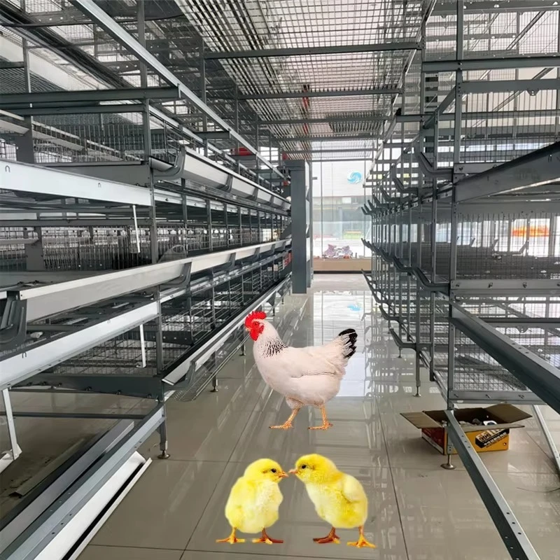Broiler Chicken Cage 3/4 Tiers 60-80 Birds H Type Galvanized Battery Broiler Equipment Meat Chicken Cages for Poultry
Broiler Chicken Cage 3/4 Tiers 60-80 Birds H Type Galvanized Battery Broiler Equipment Meat Chicken Cages for Poultry