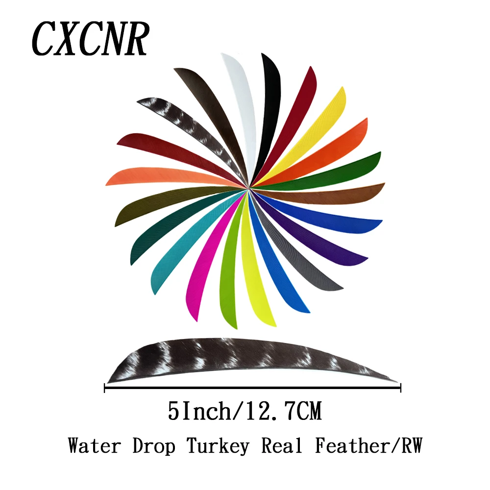 50Pcs 5 Inch Water Drop RW Turkey Feather Arrow Fletching DIY Archery Accessories for American Longbow Recurve Traditional Bow
50Pcs 5 Inch Water Drop RW Turkey Feather Arrow Fletching DIY Archery Accessories for American Longbow Recurve Traditional Bow