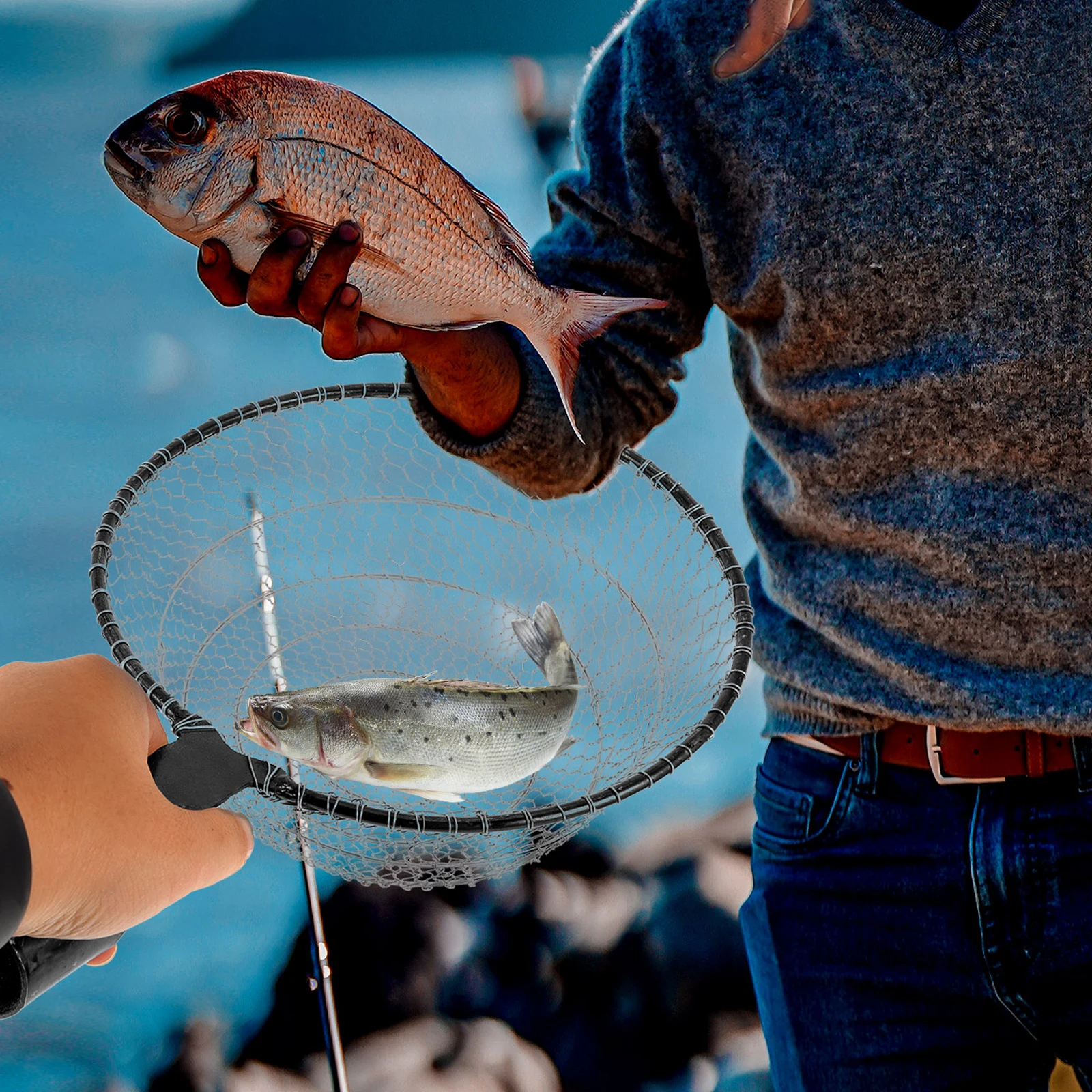 1pcs Large Fishing Sturdy Design Freshwater Saltwater Use Durable Fish Net Kayak Anglers Trout Trap Basket Net
1pcs Large Fishing Sturdy Design Freshwater Saltwater Use Durable Fish Net Kayak Anglers Trout Trap Basket Net