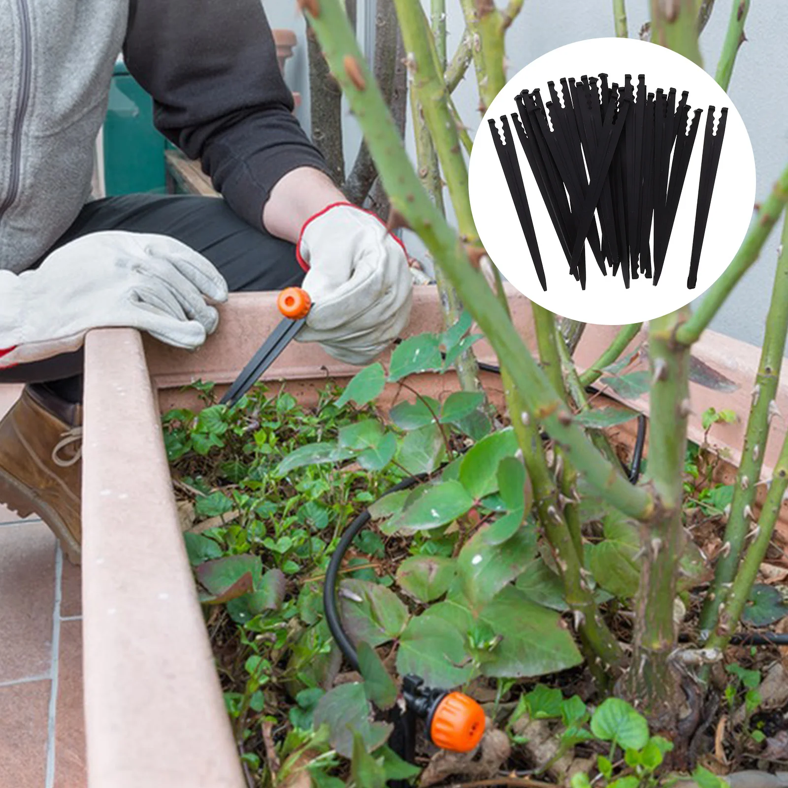 100 PCS Floor Insertion Rod Fixing Frame Plant Accessories Micro Drip Irrigation Tool PE
100 PCS Floor Insertion Rod Fixing Frame Plant Accessories Micro Drip Irrigation Tool PE
