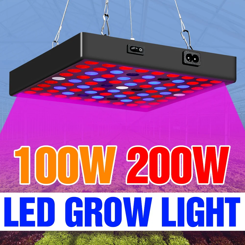 200W LED Grow Light Full Spectrum 100-277V Plant Fill Lamp Greenhouse Tent Vegs Flower Succulent Hydroponics Cultivation Lights
200W LED Grow Light Full Spectrum 100-277V Plant Fill Lamp Greenhouse Tent Vegs Flower Succulent Hydroponics Cultivation Lights