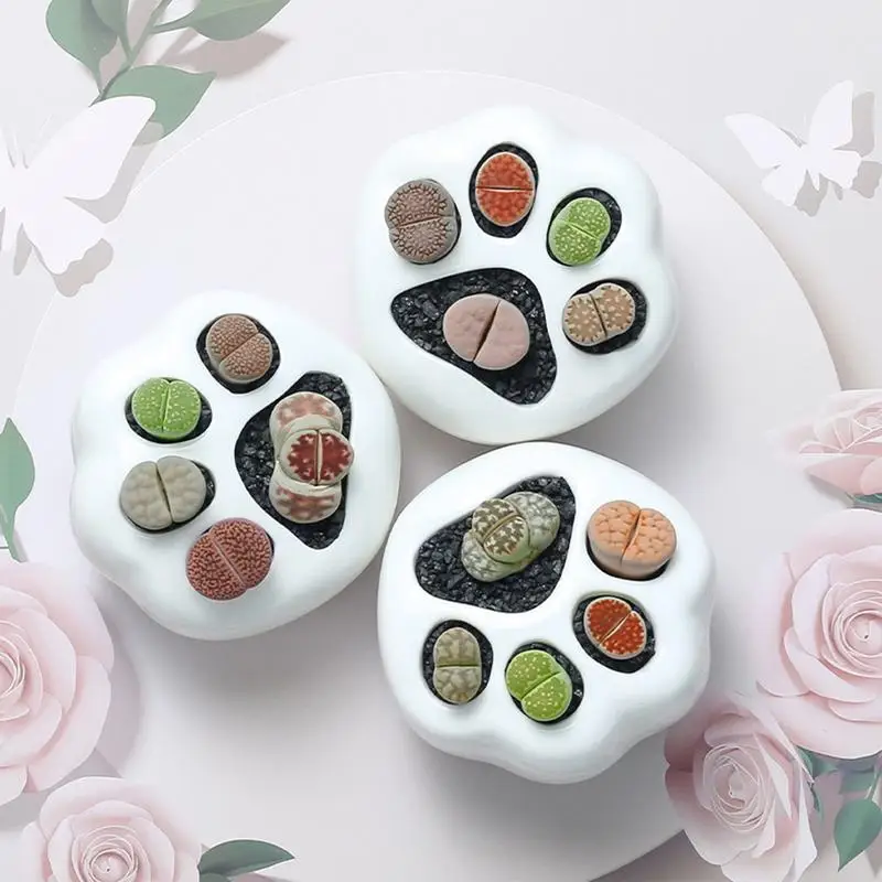 Succulent Pots Planter Pots Indoor With Drainage Ceramic Succulent Planter For Garden Kitchen Home Desk Decorations
Succulent Pots Planter Pots Indoor With Drainage Ceramic Succulent Planter For Garden Kitchen Home Desk Decorations