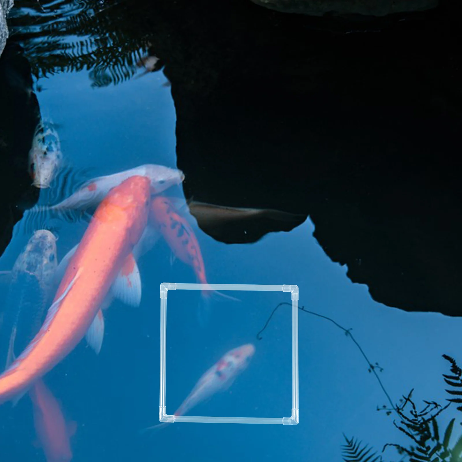 1Set Aquarium Floating Plant Ring Square Design for Fish Tank Feeding and Plant Isolation Reusable Duckweed Holder Sturdy Pc
1Set Aquarium Floating Plant Ring Square Design for Fish Tank Feeding and Plant Isolation Reusable Duckweed Holder Sturdy Pc