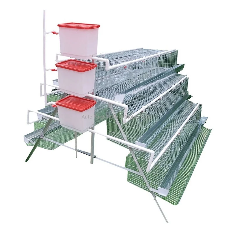 A Type Automatic 3 Tiers Layer Cage For Africa Market
A Type Automatic 3 Tiers Layer Cage For Africa Market