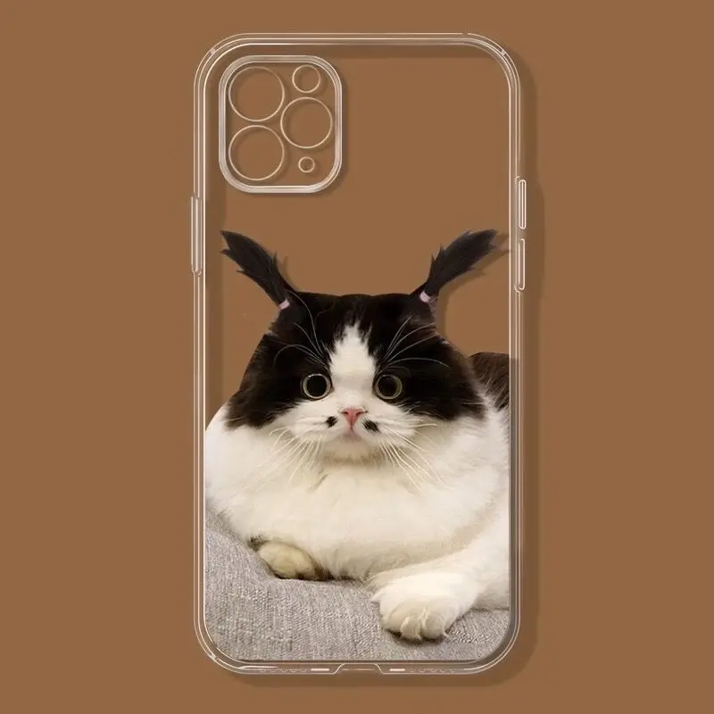 Cute cat dog soft phone case for iphone se2020 se3 silicone cover for iphone xr xs max x 7 8 plus 11 13 pro max 14 plus 12 mini
Cute cat dog soft phone case for iphone se2020 se3 silicone cover for iphone xr xs max x 7 8 plus 11 13 pro max 14 plus 12 mini