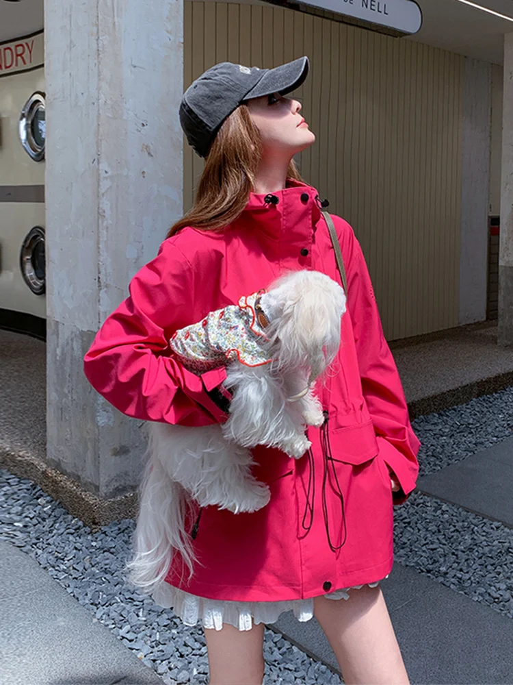 Новая женская розовая куртка с капюшоном, повседневная, универсальная, для активного отдыха, весна-осень, в корейском стиле, свободного кроя, с длинными рукавами, на молнии
Новая женская розовая куртка с капюшоном, повседневная, универсальная, для активного отдыха, весна-осень, в корейском стиле, свободного кроя, с длинными рукавами, на молнии