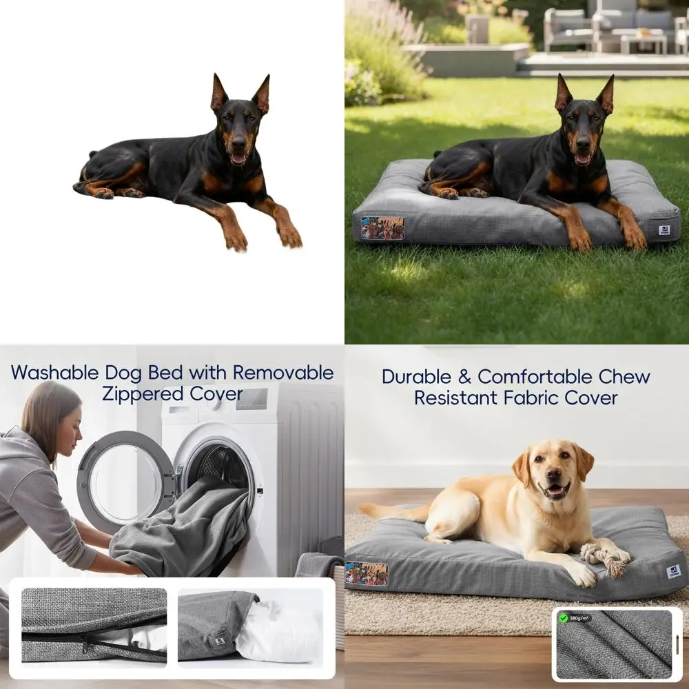 Большая водонепроницаемая кровать для собак со съемным чехлом, коврик 42 XL для средних и больших собак, подходит для использования в помещении, на открытом воздухе и на коробке (
Большая водонепроницаемая кровать для собак со съемным чехлом, коврик 42 XL для средних и больших собак, подходит для использования в помещении, на открытом воздухе и на коробке (