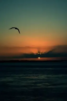 12,3-дюймовый новый двойной экран для Jeep Wrangler JL 2019-2023 Android 13, мультимедийное радио, ЖК-дисплей, приборная панель, цифровой кластер Carplay
12,3-дюймовый новый двойной экран для Jeep Wrangler JL 2019-2023 Android 13, мультимедийное радио, ЖК-дисплей, приборная панель, цифровой кластер Carplay