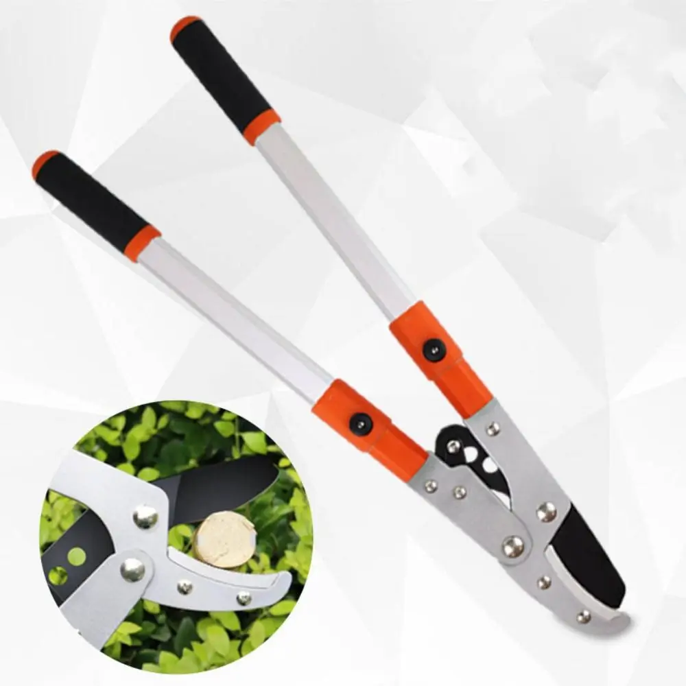 Telescopic SK5 Steel Garden Branch Pruners Professional Gardening Garden Tool Fruit Tree Stretchable Hand Tools
Telescopic SK5 Steel Garden Branch Pruners Professional Gardening Garden Tool Fruit Tree Stretchable Hand Tools
