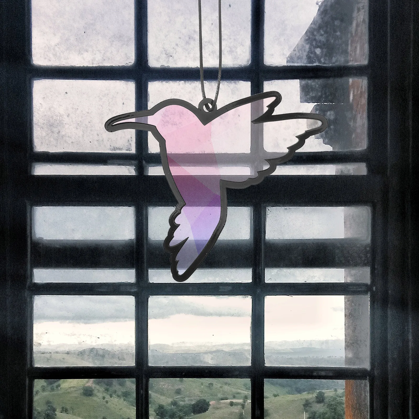 Hanging Sun Catcher Sunlight Pendant Window Decor Black Acrylic Colorful Decoration
Hanging Sun Catcher Sunlight Pendant Window Decor Black Acrylic Colorful Decoration