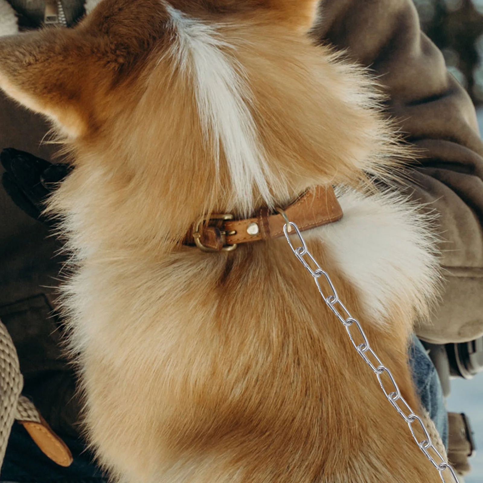 304 Stainless Steel Chain 4mm Thick Heavy Duty Durable Hanging Chain for Pet Leash Clothesline Chandelier Security Camping
304 Stainless Steel Chain 4mm Thick Heavy Duty Durable Hanging Chain for Pet Leash Clothesline Chandelier Security Camping