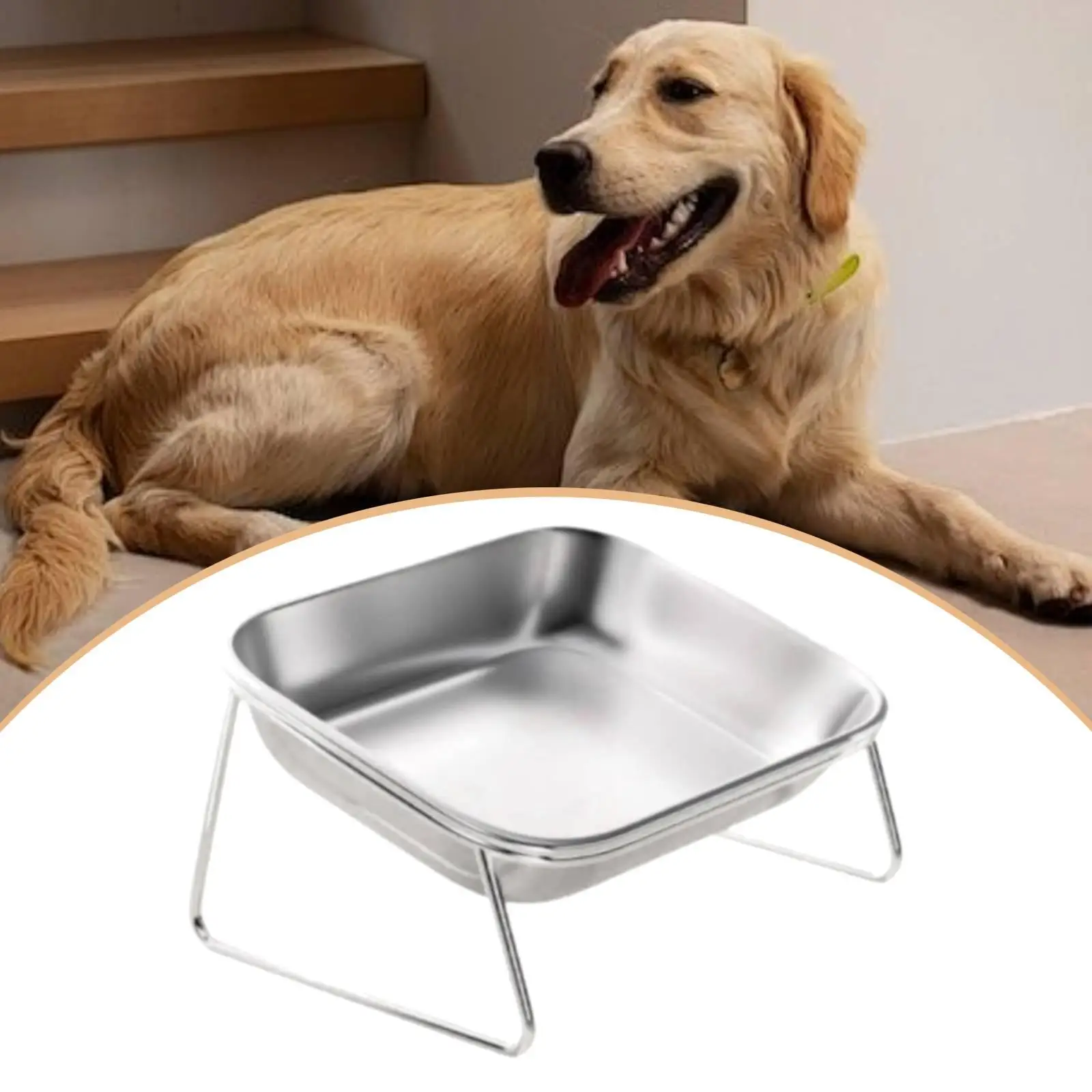 Ergonomic Raised Cat Bowl Tilted Design Stainless Steel Elevated Pet Dishes with Stand for Feeding Cats or Dogs
Ergonomic Raised Cat Bowl Tilted Design Stainless Steel Elevated Pet Dishes with Stand for Feeding Cats or Dogs
