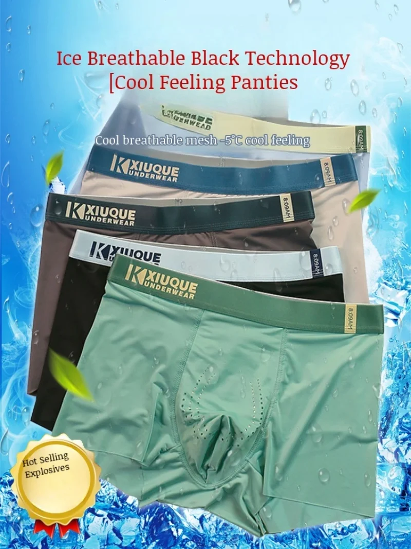 3pcs Men's Underwear Antibacterial Stretchy Boxer Trunks Seamless Mesh Breathable Panties Comfortable Quick Drying Underpants
3pcs Men's Underwear Antibacterial Stretchy Boxer Trunks Seamless Mesh Breathable Panties Comfortable Quick Drying Underpants