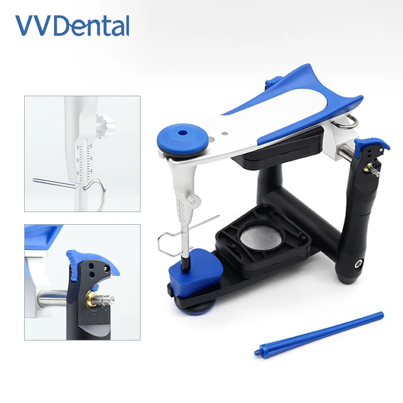 Dental BN Average Jaw Frame Oral Articulator and Accessories Teeth Model Accurate Scale Plaster Model Dentistry
Dental BN Average Jaw Frame Oral Articulator and Accessories Teeth Model Accurate Scale Plaster Model Dentistry