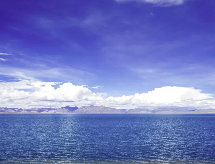 Новый 18650 3,7 В 10000 мАч 1S3P литий-ионный аккумулятор для салона красоты, перезаряжаемый аккумулятор SM или разъем XH2.54
Новый 18650 3,7 В 10000 мАч 1S3P литий-ионный аккумулятор для салона красоты, перезаряжаемый аккумулятор SM или разъем XH2.54