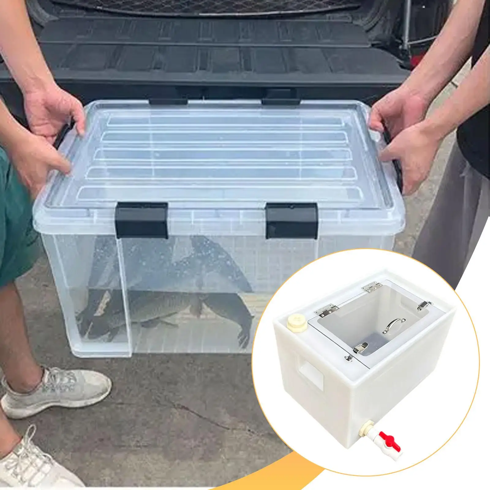 Fish Transport Tank Strong Plastic Fishing Container Storage Box with Lid for Camping Car Trunk Beach Travel Release
Fish Transport Tank Strong Plastic Fishing Container Storage Box with Lid for Camping Car Trunk Beach Travel Release