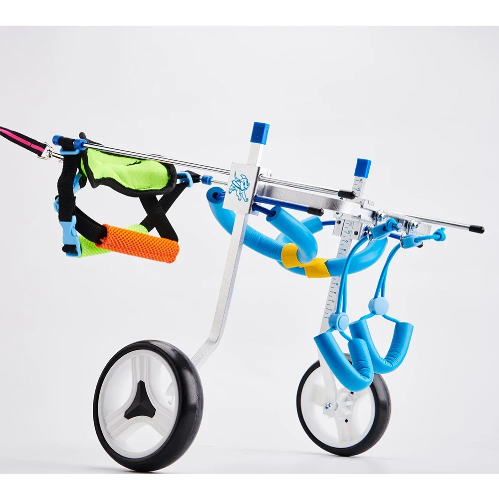 Small front leg wheelchair Front leg pet wheelchair assisted support for disability injury powerless Teddy recovery scooter
Small front leg wheelchair Front leg pet wheelchair assisted support for disability injury powerless Teddy recovery scooter