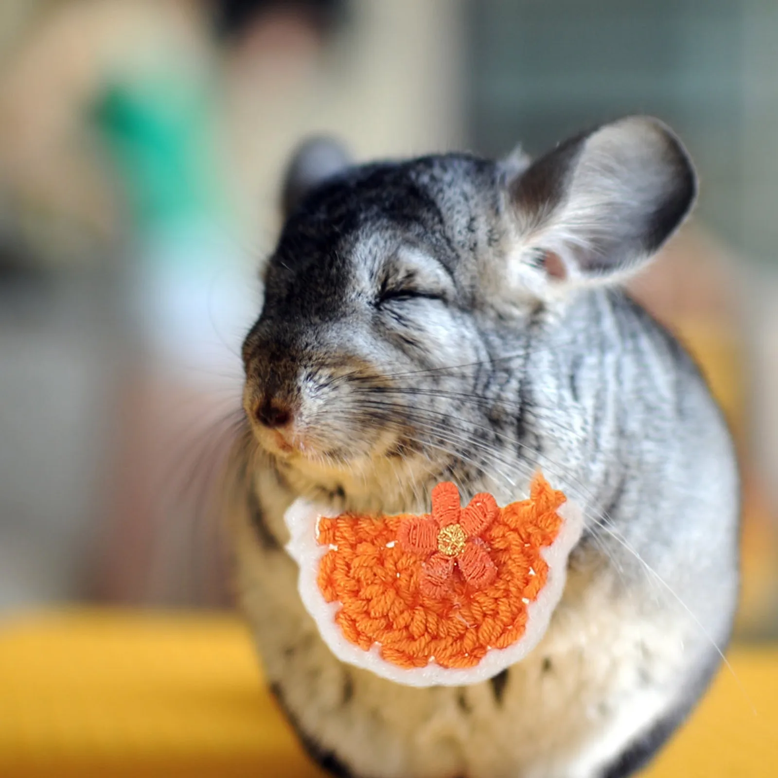 14Pcs Pet Bib Scarf Set for Small Dogs Cats Soft Adjustable Bandana Drool Bib Eating Accessory Winter Neck Warmer Puppy Kitten
14Pcs Pet Bib Scarf Set for Small Dogs Cats Soft Adjustable Bandana Drool Bib Eating Accessory Winter Neck Warmer Puppy Kitten