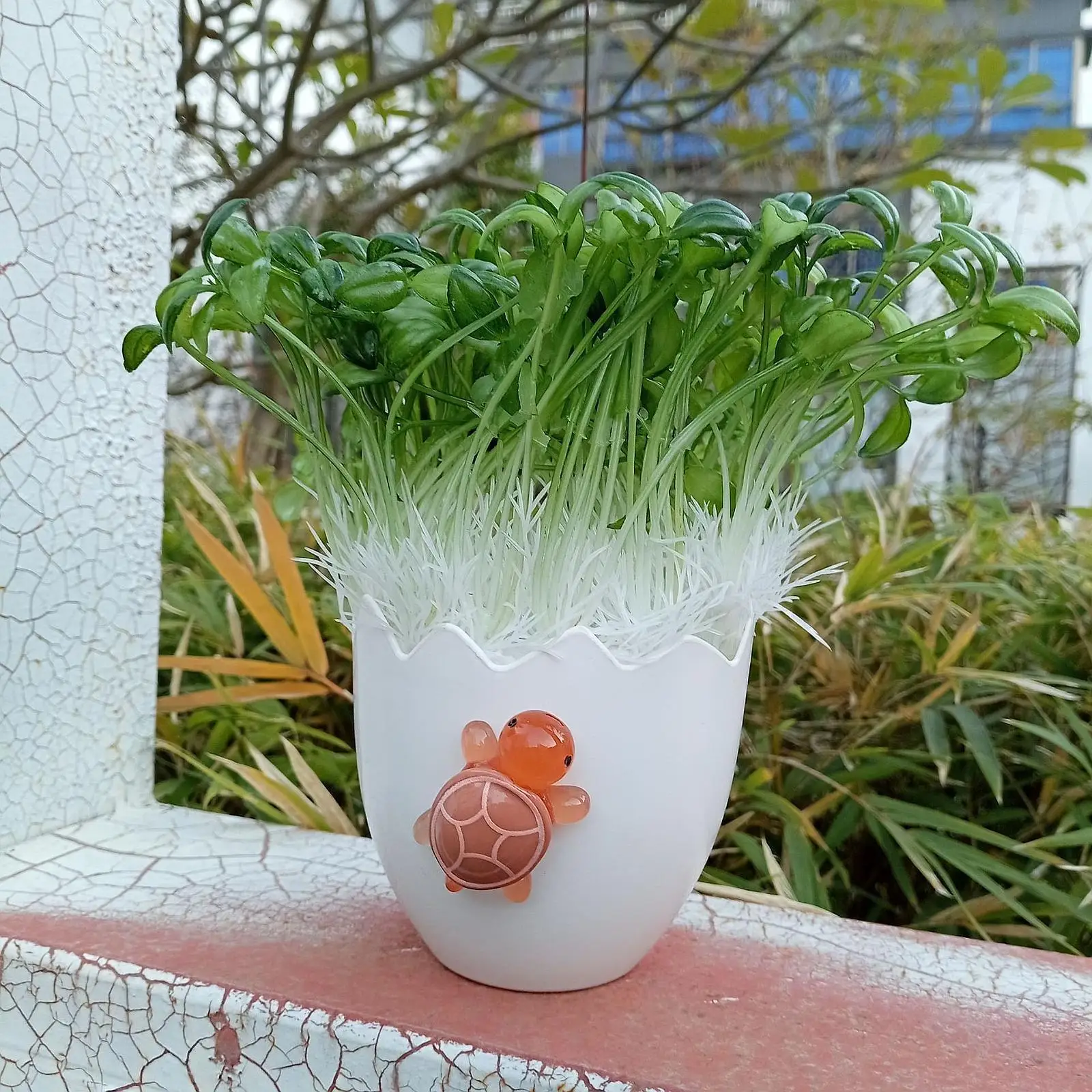 White Eggshell Plant Pot Funny with Turtle Container Unique Display Resin Statue for Tabletop Office Decoration Home Festival
White Eggshell Plant Pot Funny with Turtle Container Unique Display Resin Statue for Tabletop Office Decoration Home Festival