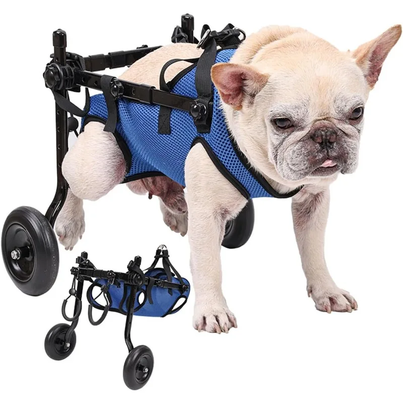 Dog Wheelchair Cart Adjustable Pet Mobility Aids for Cat Dog Rehabilitation Walking Aid Breathable Comfortable Harness
Dog Wheelchair Cart Adjustable Pet Mobility Aids for Cat Dog Rehabilitation Walking Aid Breathable Comfortable Harness