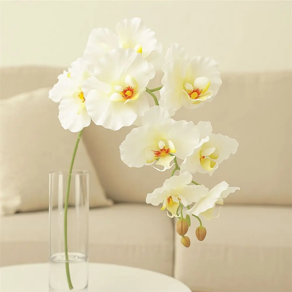 98cm Artificial Butterfly Orchid Real Touch 9-Heads Fake Phalaenopsis Flower Lifelike Silk Phalaenopsis Orchid Party Table
98cm Artificial Butterfly Orchid Real Touch 9-Heads Fake Phalaenopsis Flower Lifelike Silk Phalaenopsis Orchid Party Table