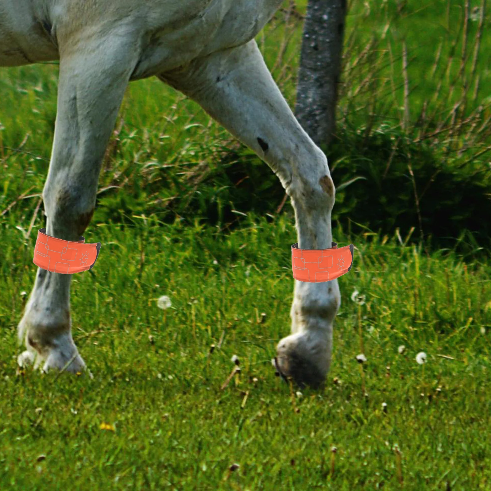 4Pcs LED Horse Leg Wraps with Bright Illumination for Night Riding Outdoor Cycling Running Adjustable Secure Fit Safety Gear
4Pcs LED Horse Leg Wraps with Bright Illumination for Night Riding Outdoor Cycling Running Adjustable Secure Fit Safety Gear