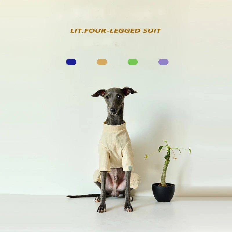 Fashion Whippet Comfortable Dog Cotton Coat Soft Pullover Jumpsuit Italian Greyhound Bedlington Winter Dog Traction Clothing
Fashion Whippet Comfortable Dog Cotton Coat Soft Pullover Jumpsuit Italian Greyhound Bedlington Winter Dog Traction Clothing