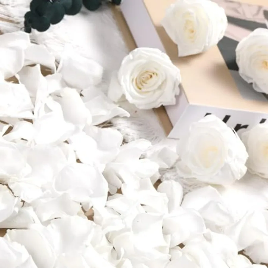 Dried Real Rose Petals, Natural Preserved Dry Flower Petals for Wedding Party Dinner Table Decor, Romantic Night for Her Set, E
Dried Real Rose Petals, Natural Preserved Dry Flower Petals for Wedding Party Dinner Table Decor, Romantic Night for Her Set, E
