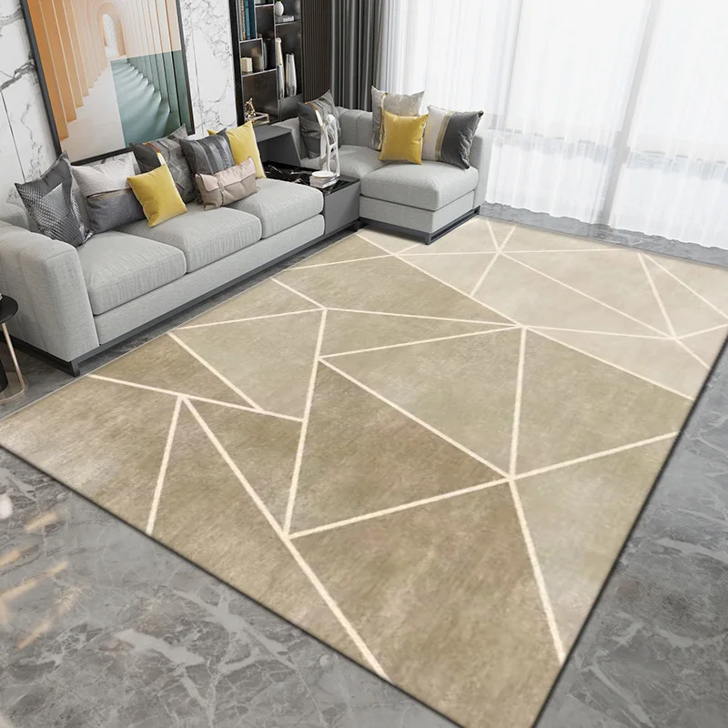 Minimalist lines Nordic light luxury Edaner velvet living room sofa coffee table blanket simple
Minimalist lines Nordic light luxury Edaner velvet living room sofa coffee table blanket simple