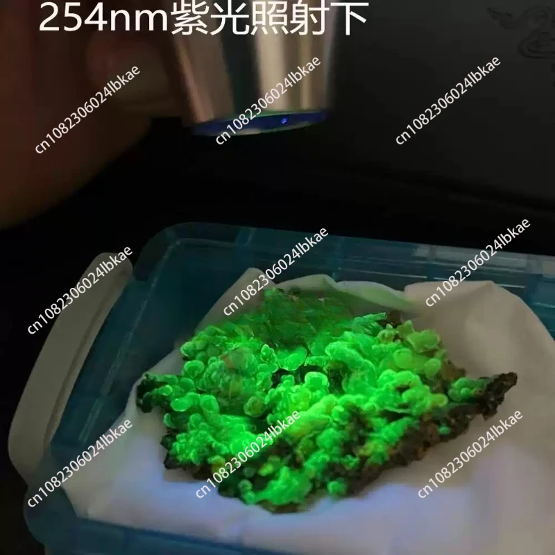 for Longwave & Shortwave UV Lamps 254nm 365nm 395nm Minerals Phosphor Detector Blacklight LED Flashlight with ZWB3 filter
for Longwave & Shortwave UV Lamps 254nm 365nm 395nm Minerals Phosphor Detector Blacklight LED Flashlight with ZWB3 filter